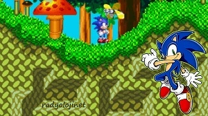 Play 🕹️ Sonic 🕹️ Game Online