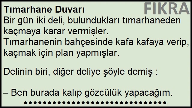 Tımarhane Duvarı