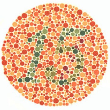 Renk Körlüğü Testi - Resim 08