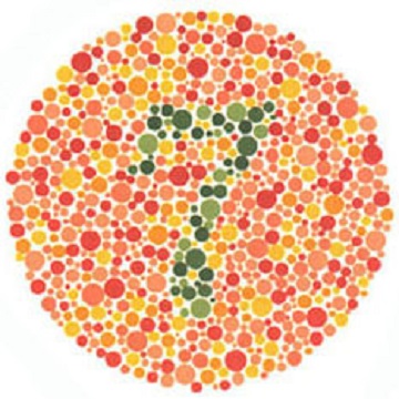 Renk Körlüğü Testi - Resim 15