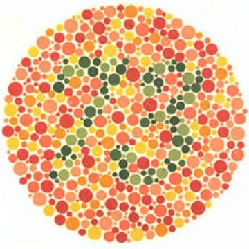 Renk Körlüğü Testi - Resim 17