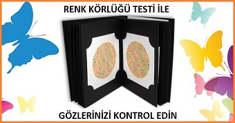 Renk Körlüğü Testi