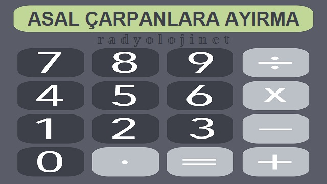 Asal Çarpanlara Ayırma - Asal Çarpanlara Ayırma Aracı - Asal Çarpan Hesaplama Aracı