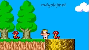 Wonder Boy In Monster Land