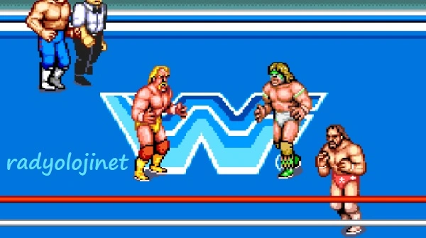 WWF Superstars 🕹️ Oyunu 🕹️ Oyna