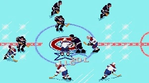 NHL Hockey 94