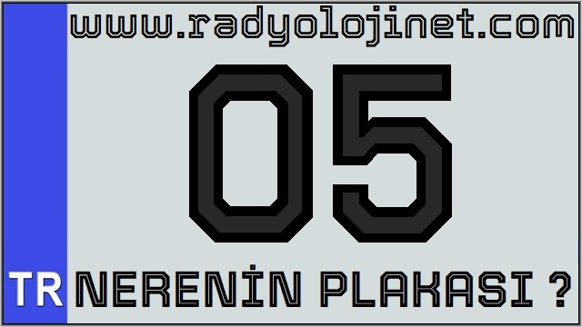 05 Nerenin Plakası ?