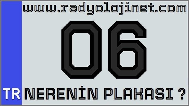 06 Nerenin Plakası ?