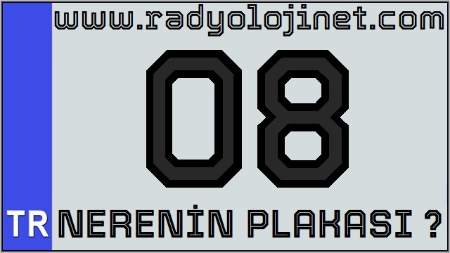 08 Nerenin Plakası ?