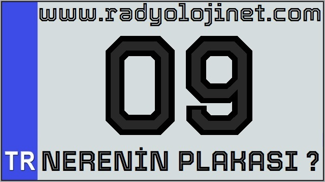 09 Nerenin Plakası ?