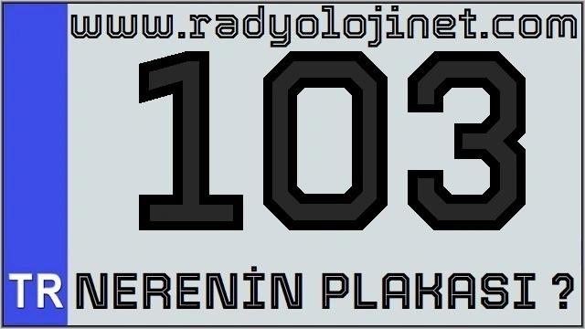 103 Nerenin Plakası ?