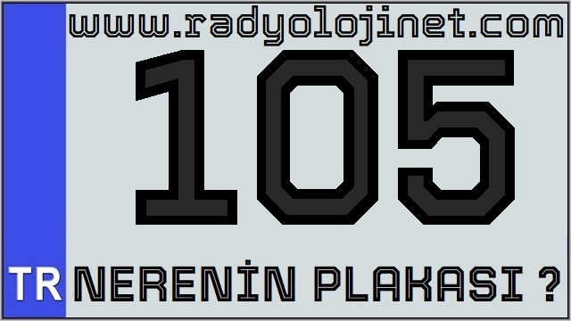 105 Nerenin Plakası ?