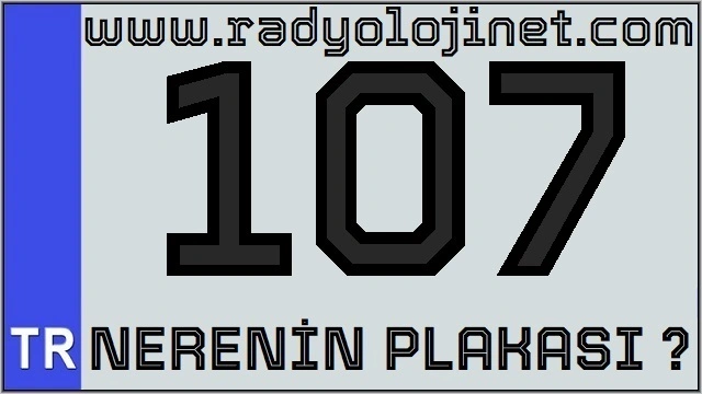 107 Nerenin Plakası ?