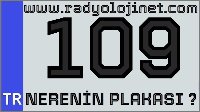 109 Nerenin Plakası ?