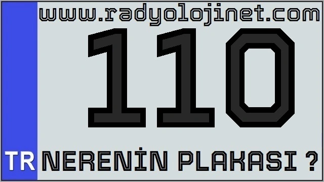 110 Nerenin Plakası ?