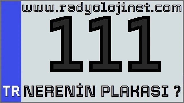 111 Nerenin Plakası ?