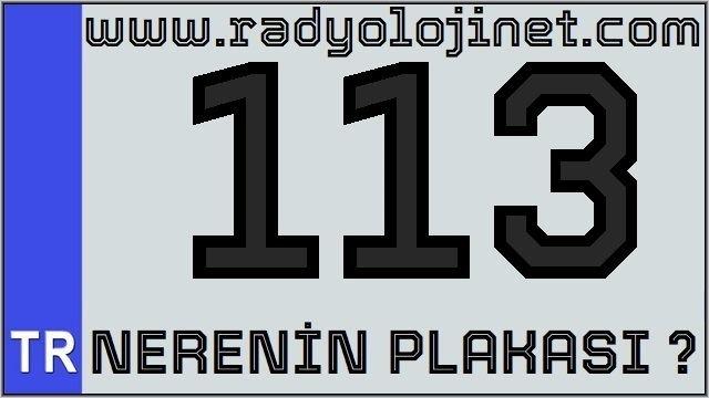 113 Nerenin Plakası ?