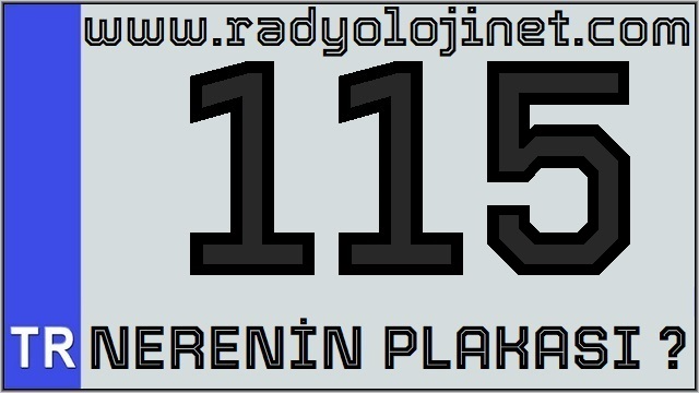 115 Nerenin Plakası ?