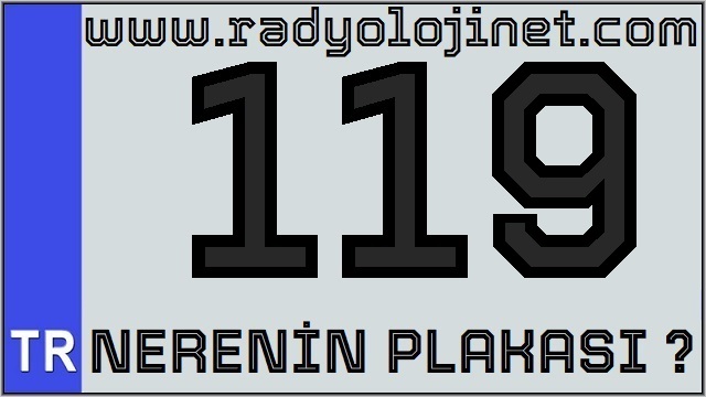 119 Nerenin Plakası ?