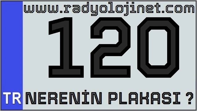 120 Nerenin Plakası ?