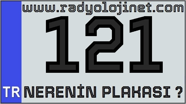 121 Nerenin Plakası ?