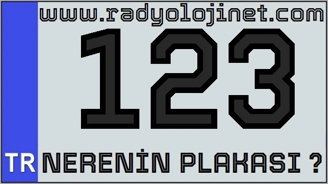 123 Nerenin Plakası ?