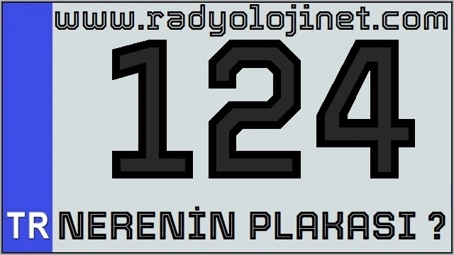 124 Nerenin Plakası ?