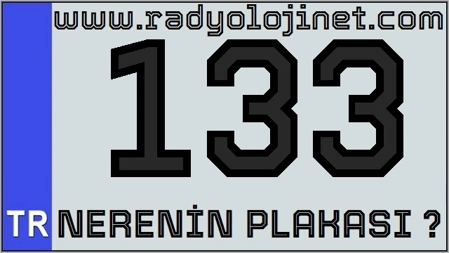 133 Nerenin Plakası ?