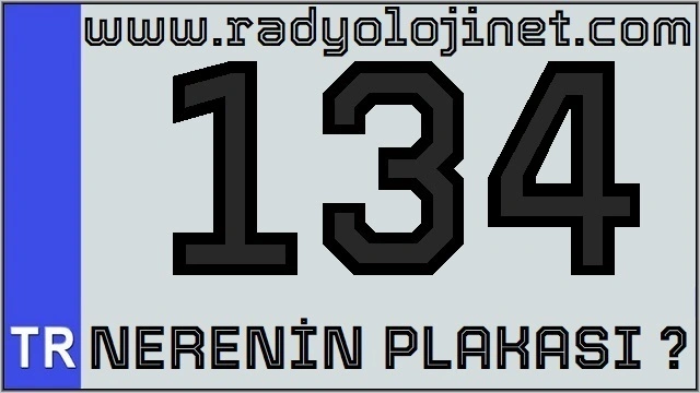 134 Nerenin Plakası ?