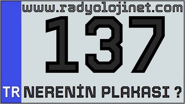 137 Nerenin Plakası ?