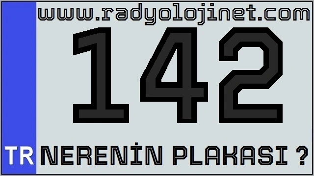 142 Nerenin Plakası ?