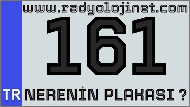 161 Nerenin Plakası ?