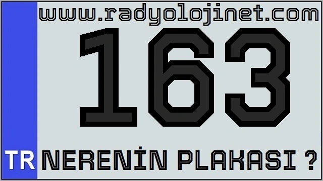 163 Nerenin Plakası ?