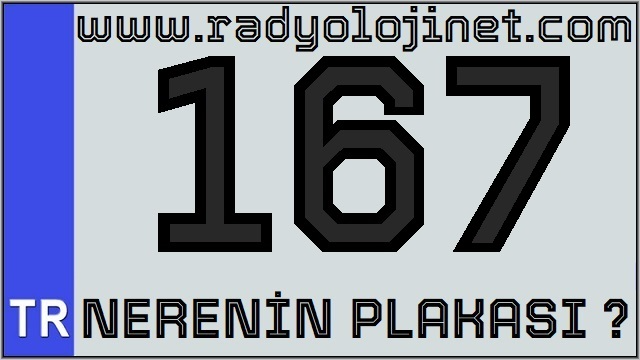 167 Nerenin Plakası ?