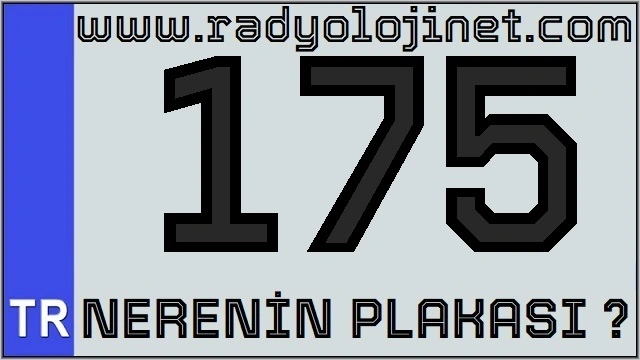 175 Nerenin Plakası ?