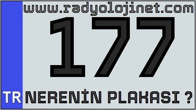 177 Nerenin Plakası ?