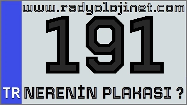 191 Nerenin Plakası ?