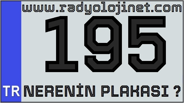 195 Nerenin Plakası ?