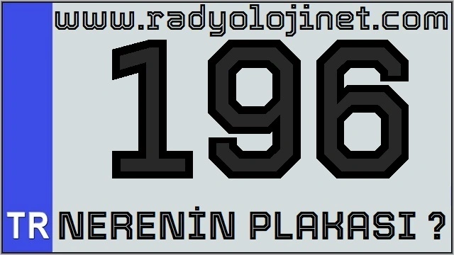 196 Nerenin Plakası ?