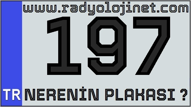 197 Nerenin Plakası ?