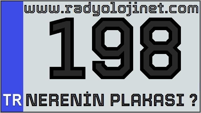 198 Nerenin Plakası ?