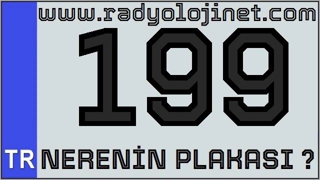 199 Nerenin Plakası ?