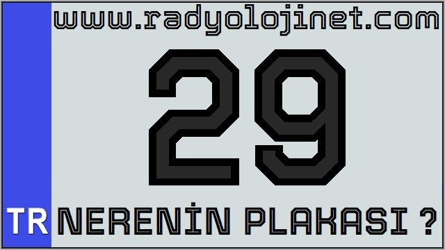 29 Nerenin Plakası ?