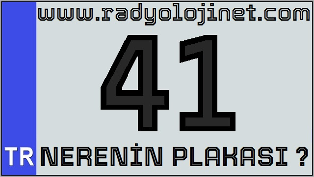 41 Nerenin Plakası ?