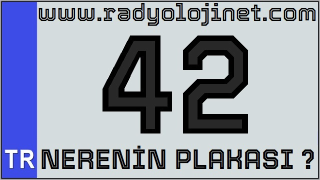 42 Nerenin Plakası ?