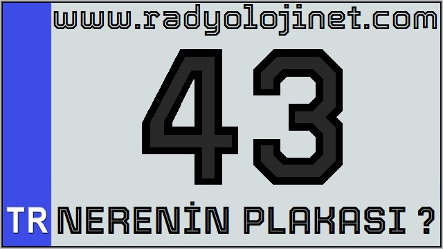 43 Nerenin Plakası ?