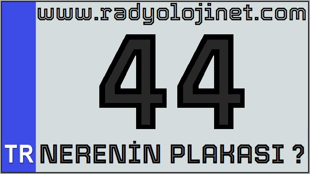 44 Nerenin Plakası ?