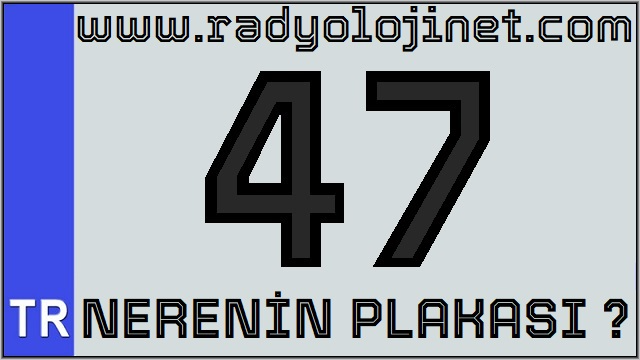 47 Nerenin Plakası ?