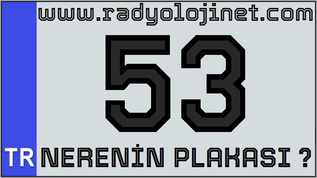 53 Nerenin Plakası ?