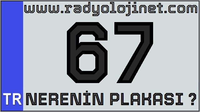 67 Nerenin Plakası ?